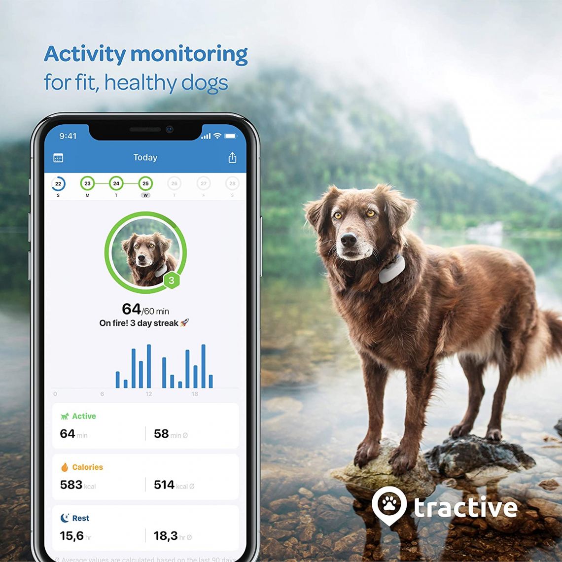 Tractive | Dog Tracker