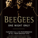 Bee Gees | One Night OnlyAmazon link: https://amzn.to/3lNKTe8
